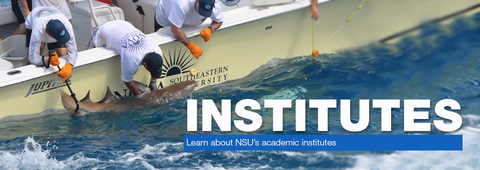 Learn about NSU's academic institutes