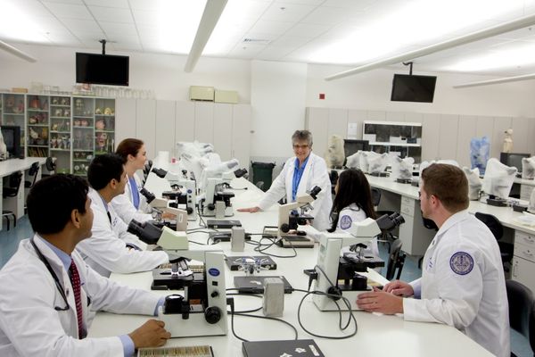 group of medical students working in lab with professor