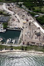 Center of Excellence for Coral Reef Ecosystems Science