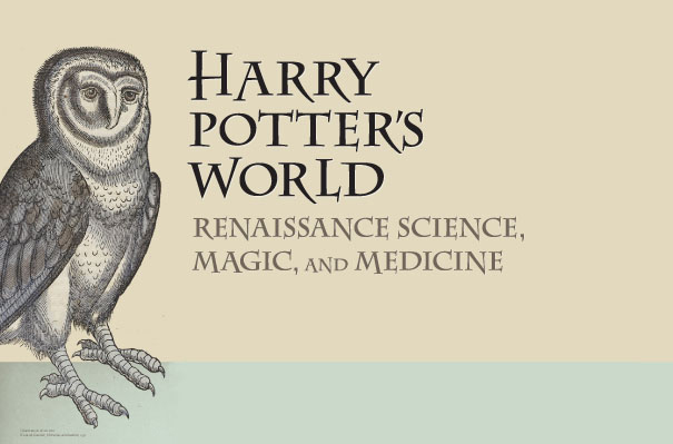 Harry Potter's World letterhead with owl