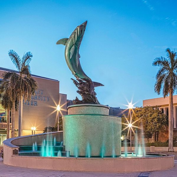 NSU shark fountain at night