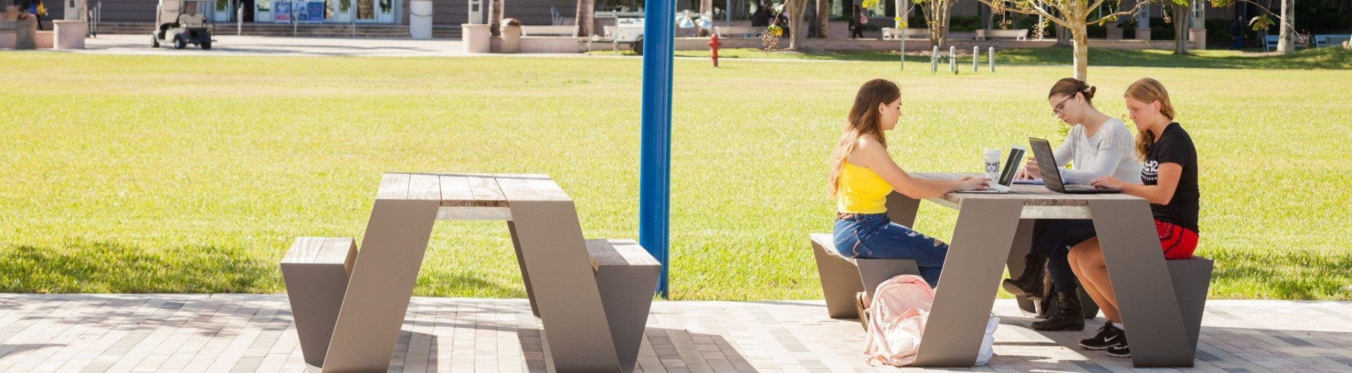 Undergraduate NSU student on laptop in library