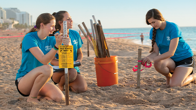 NSU students volunteer to help protect sea turtles at the beach