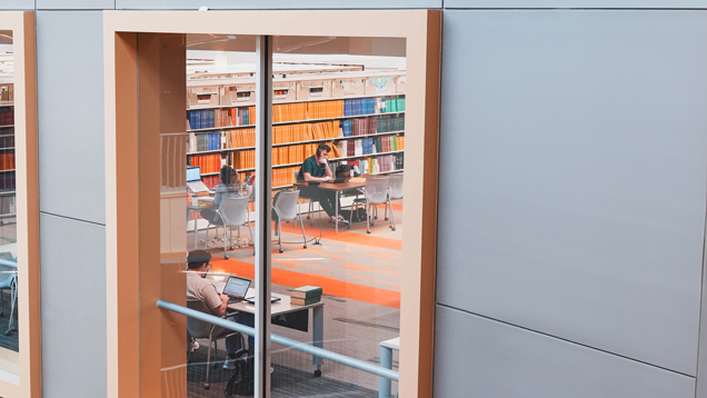 Alvin sherman library window view