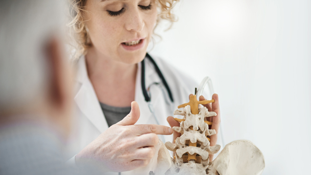 osteopathic medicine profressional explaining skeleton to patient