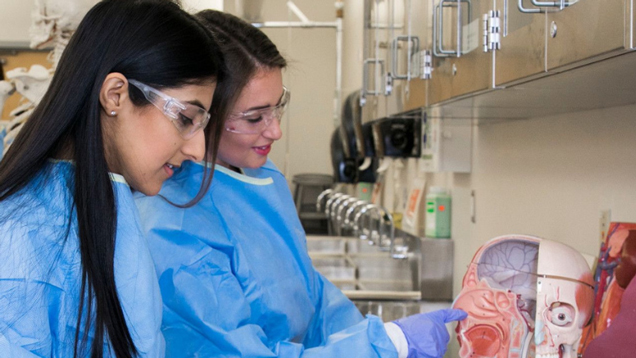 Research Students working in lab