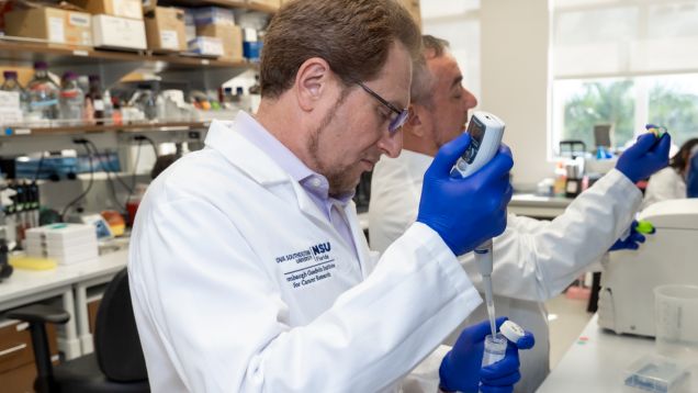 Researcher in a white NSU lab coat using a pipette while conducting an experiment in a laboratory.