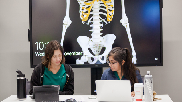 Two students working on their minors using laptop