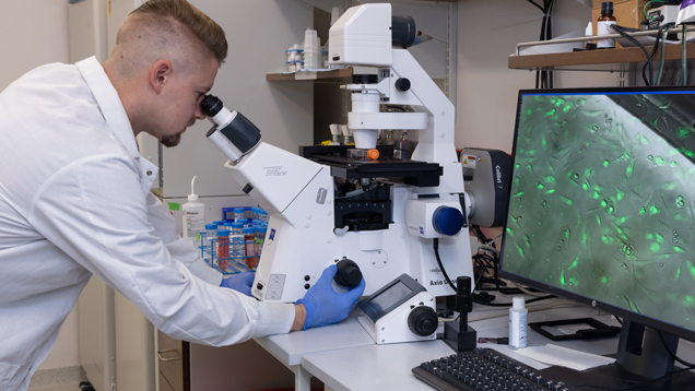 Future doctor of pharmaceutical sciences using microscope