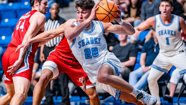 NSU sharks basketball game