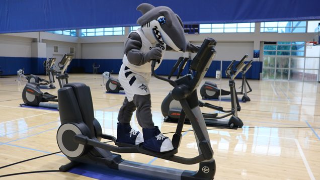 Shark mascot exercising