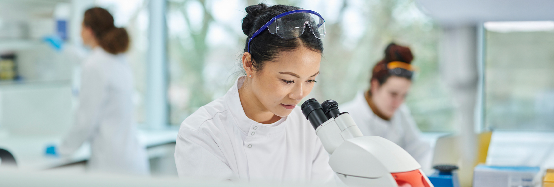 Team of scientists working in a lab