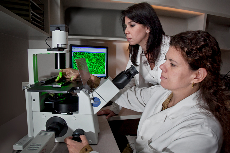 Two scientists using lab equipment for research