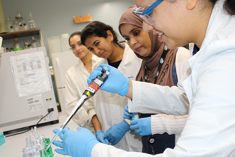 Group of scientists working in the lab