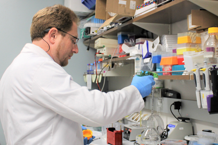 NSU scientist using lab equipment