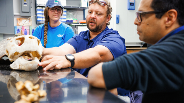 Professor explaining marine biology on lab