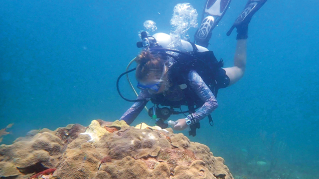 Scuba diver analyzing coral reef