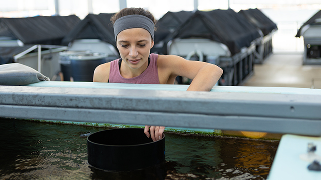 Student examining water for research outdoors