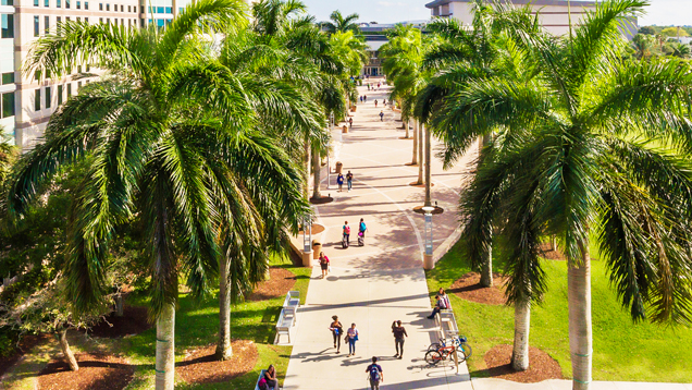 UC and Library walkway top view