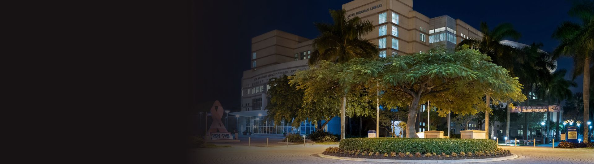 NSU campus at night