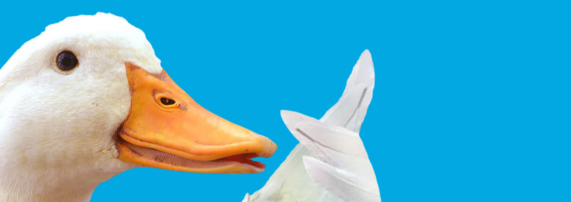 Aflac Banner