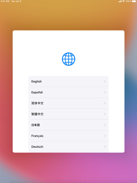 Select language screenshot