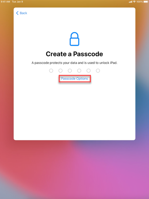 Create a passcode screenshot