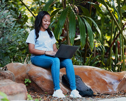 NSU student seated on a rock and using her laptop